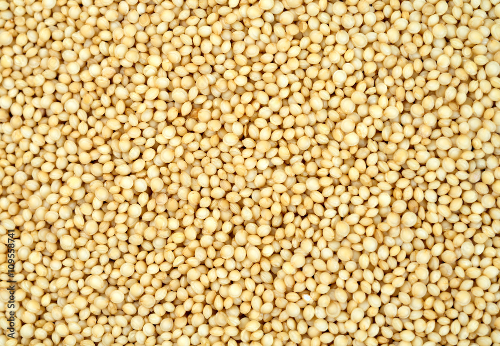 Background of amaranth seeds Background of amaranth seeds