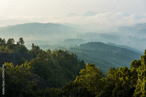 Morning fog in dense tropical rainforest, Misty mountain forest