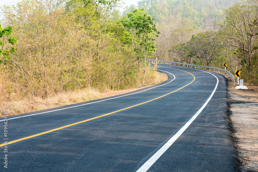 Fototapeta premium new road in forest