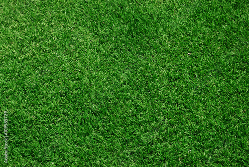 real green grass background © nd700
