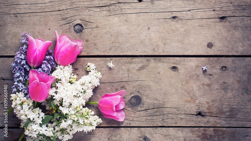 Fototapeta Naklejka Na Ścianę i Meble -  Background with fresh aromatic lilac  and pink tulips flowers