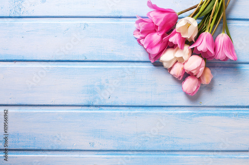 Fototapeta Naklejka Na Ścianę i Meble -  Background with tender flowers