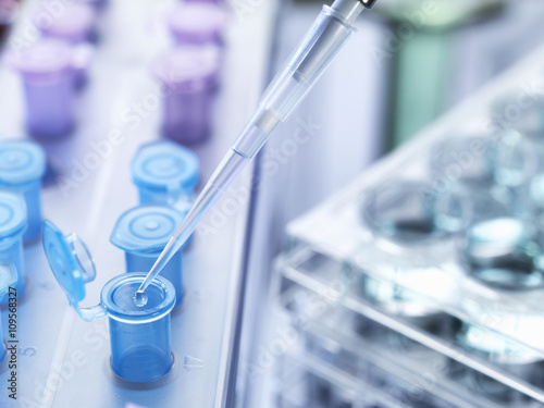 Pipetting drops of liquid into eppendorf tubes, high angle view photo