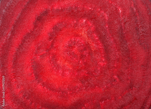 Bild auf Leinwand Texture macro beet