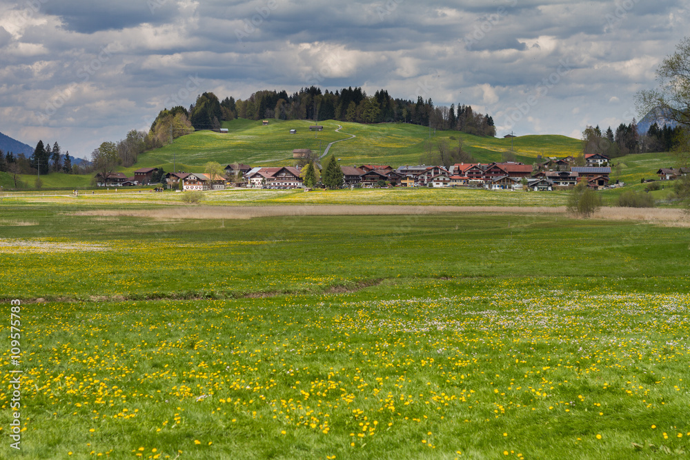 Frühlingswiese bei Rubi im Allgäu
