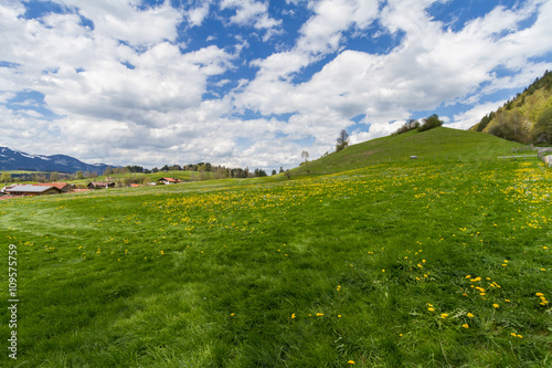 Obraz na płótnie Frühlingswiese im Allgäu w salonie
