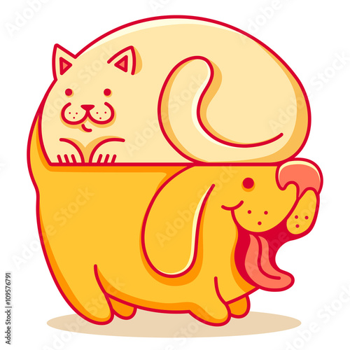 Cat and dog