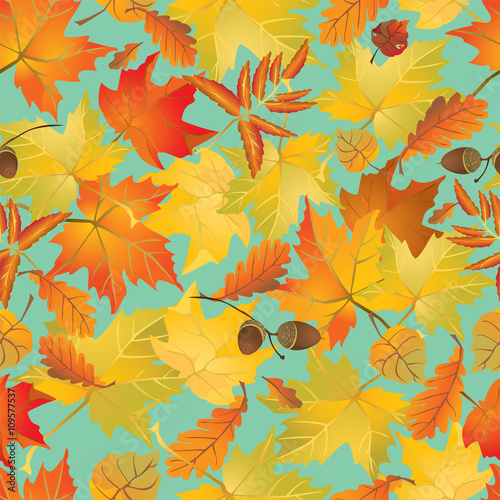 Seamless pattern with red and yellow autumn leaves. Fall season