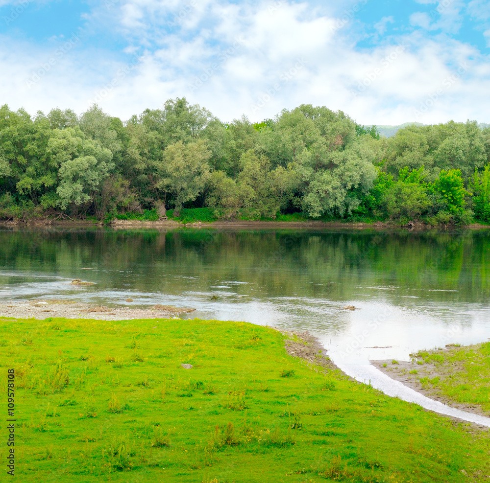 plain river with inflows and floodplain forest plain river with inflows and floodplain forest