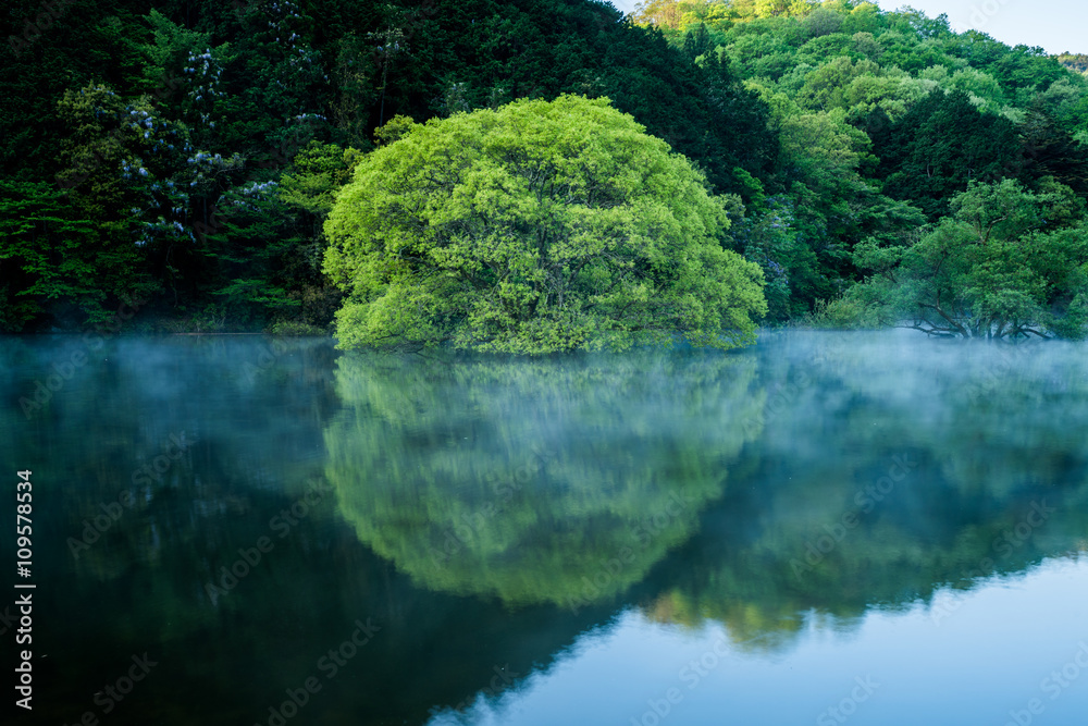 Murou symmetry lake verdure,uda ciyu,nara,japan Murou symmetry lake verdure,uda ciyu,nara,japan
