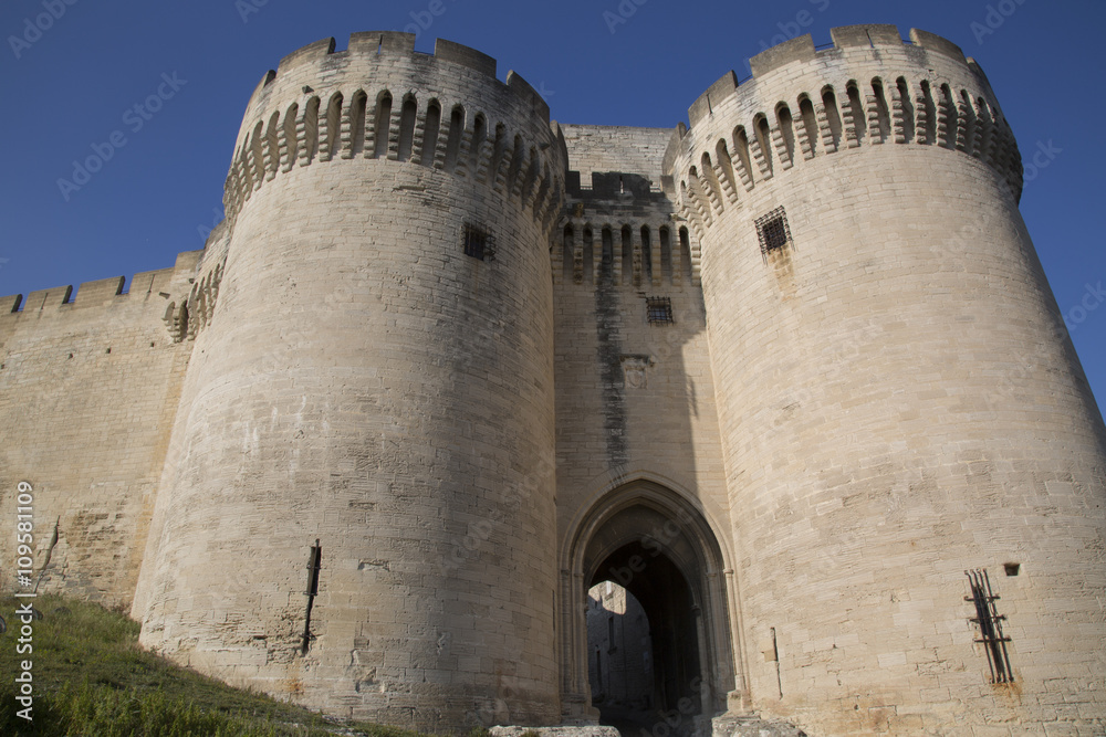 Saint Andre Fort and Castle; Villeneuve les Avignon