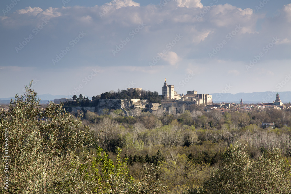 View of Avignon, France