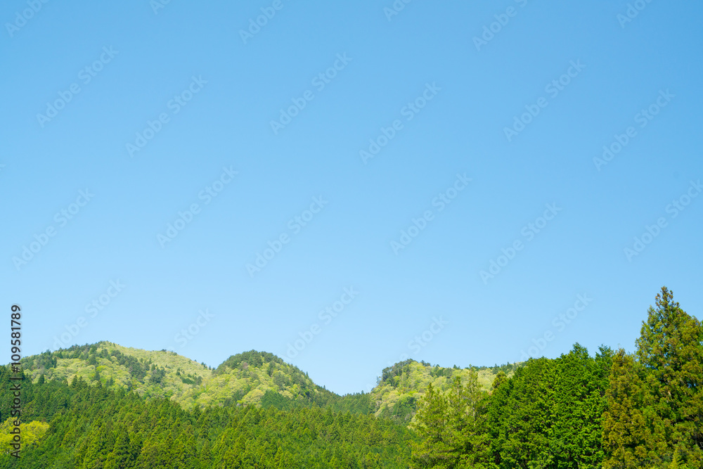 Verdure mountain,nara,japan