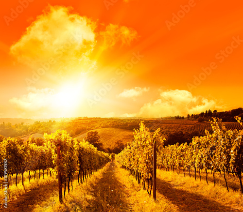 wonderful italy tuscany hill at sunrise or sunset road scenic