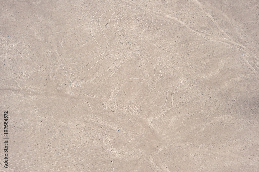 Fototapeta premium Nasca line of The Monkey Geoglyph, Nazca, Peru