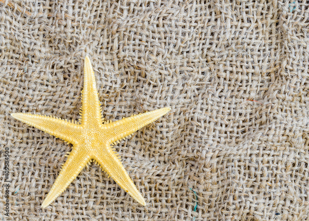 Starfish lies on a beautiful fabric background. Starfish lies on a beautiful fabric background.