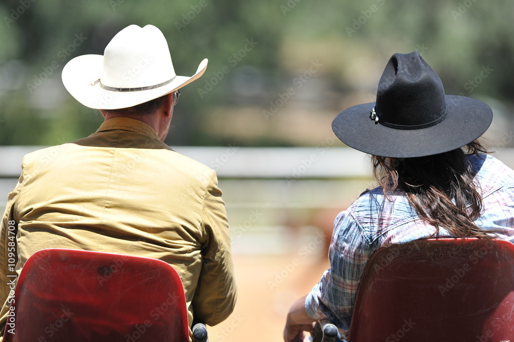 View on the backs of judges during the NRHA competition