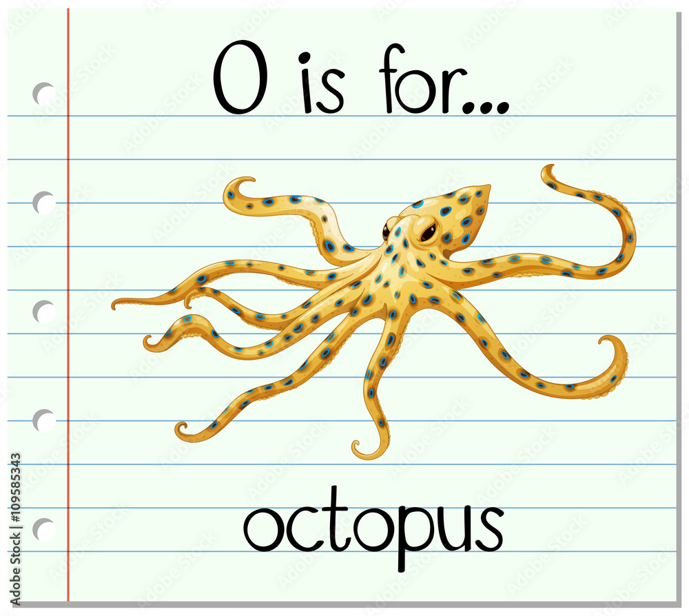 Flashcard letter O is for octopus Stock Vector | Adobe Stock