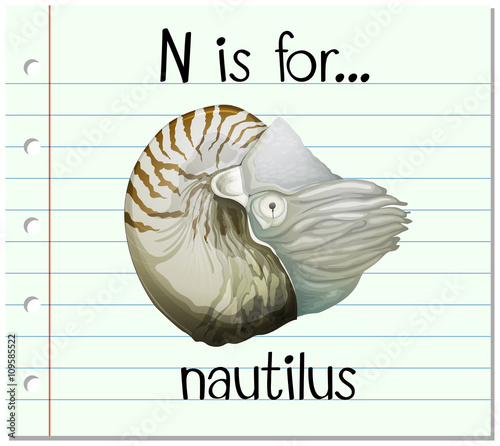 Flashcard alphabet N is for nautilus