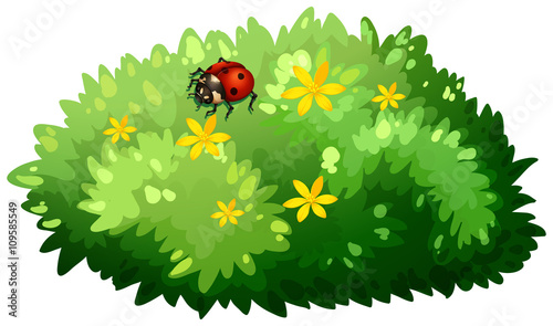 Nature design with bush and bug