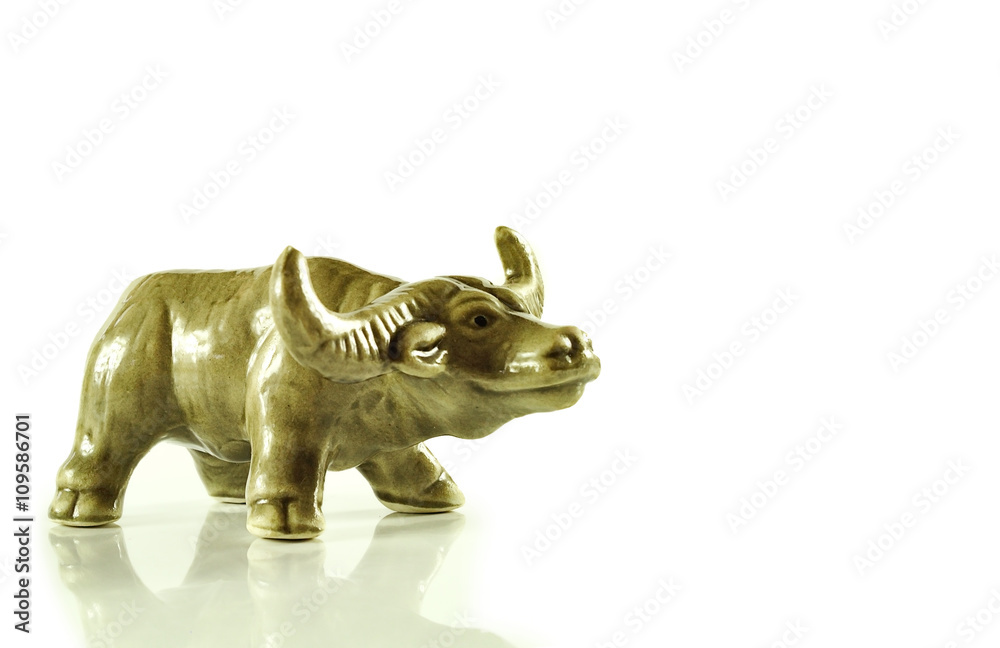 buffalos close up isolated on white background buffalos close up isolated on white background