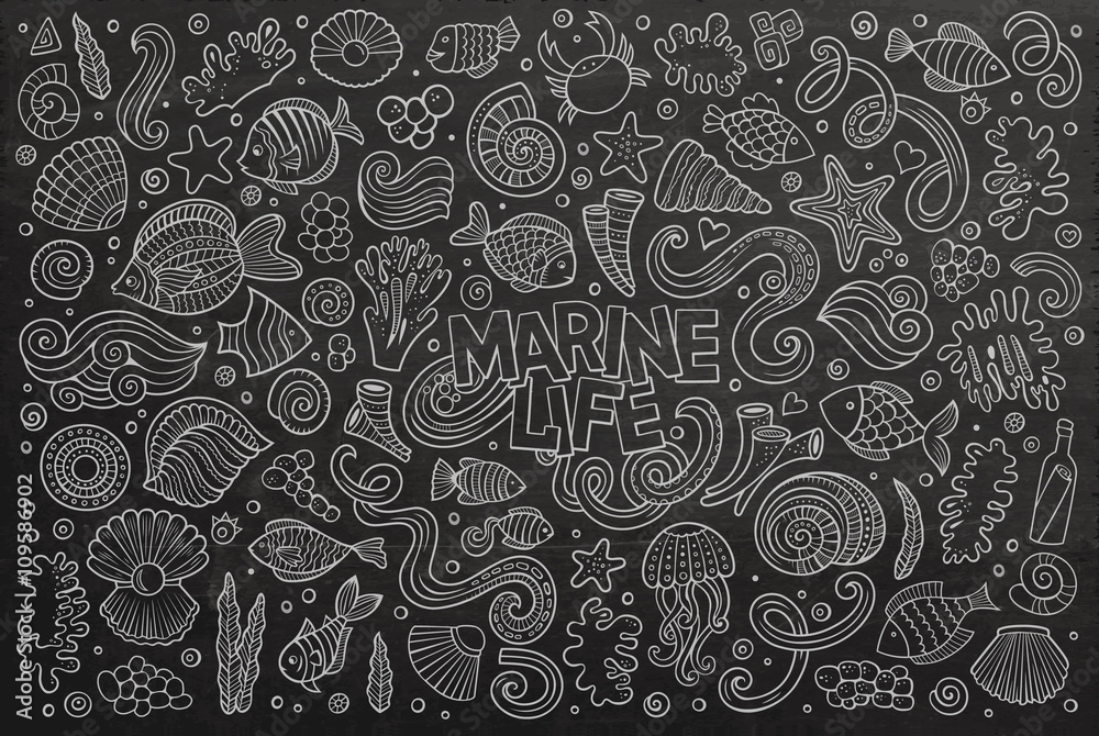 Fototapeta premium Chalkboard set of marine life objects