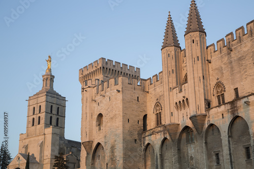 Cathedral and Palais des Papes Palace; Avignon