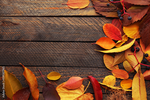 Fotografía Autumn leaves on wooden background