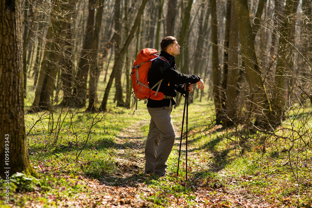 Male hiker looking to the side walking in forest Male hiker looking to the side walking in forest