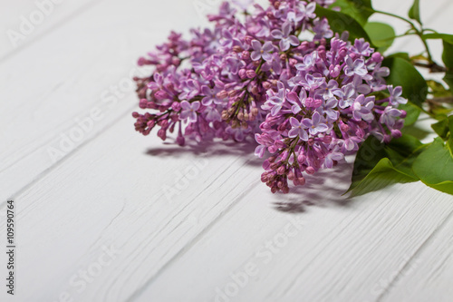 The beautiful lilac on a wooden background. Lilac flowers on a white background.