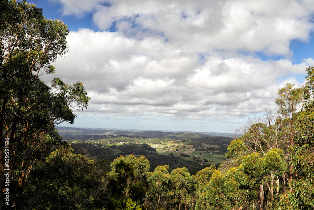 Picadilly Valley