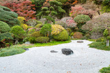 Japanese garden in late autumn