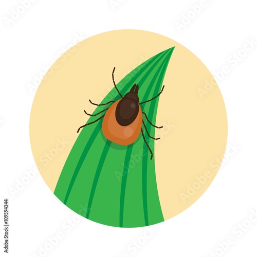 Mite, human skin parasite. Mite disease and infection vectors. Tick skin parasite. Tick infection. Lyme disease, Ehrlichiosis and Evncephalitis. Vector illustration