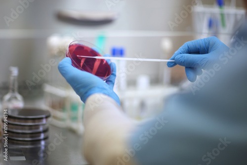 Bacterial identification in laboratory photo