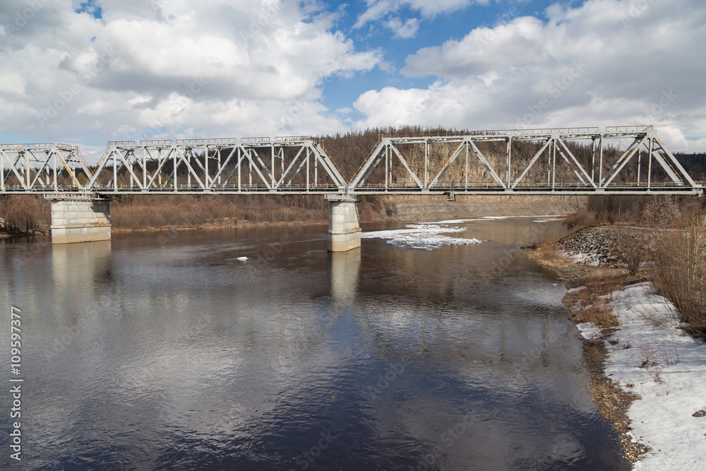 Fototapeta premium Steel railway bridge over the river Chulman