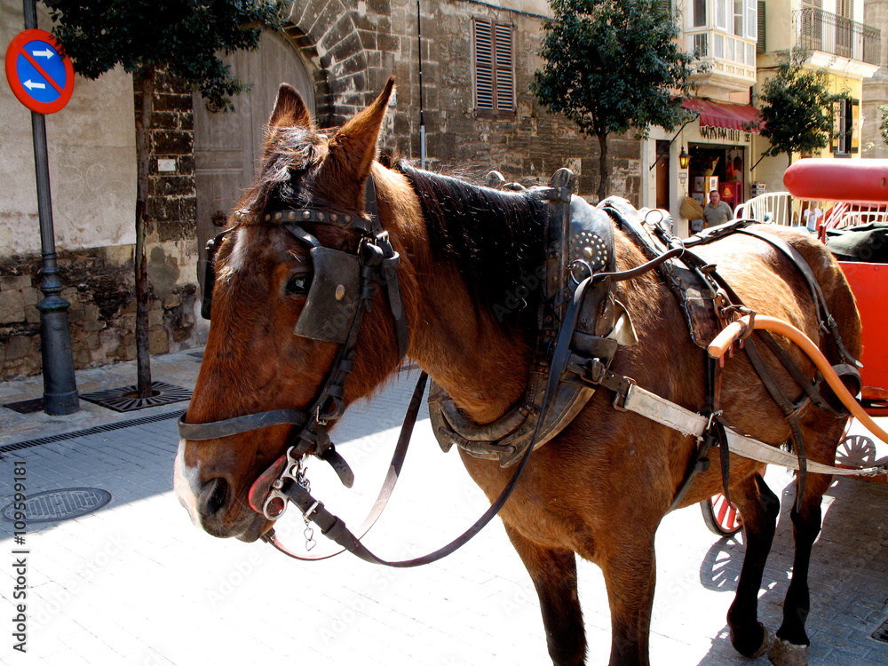 Fototapeta premium Horse and Carriage Waiting on Sunny Spanish Street