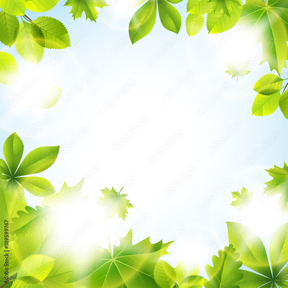 Summer background with leaves