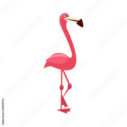 Pink Flamingo Funny Illustration