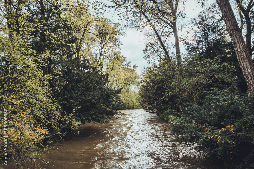 Obraz premium Stream meanders through thick green forest