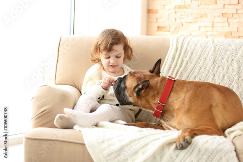 Little cute girl with boxer dog sitting on a couch at home