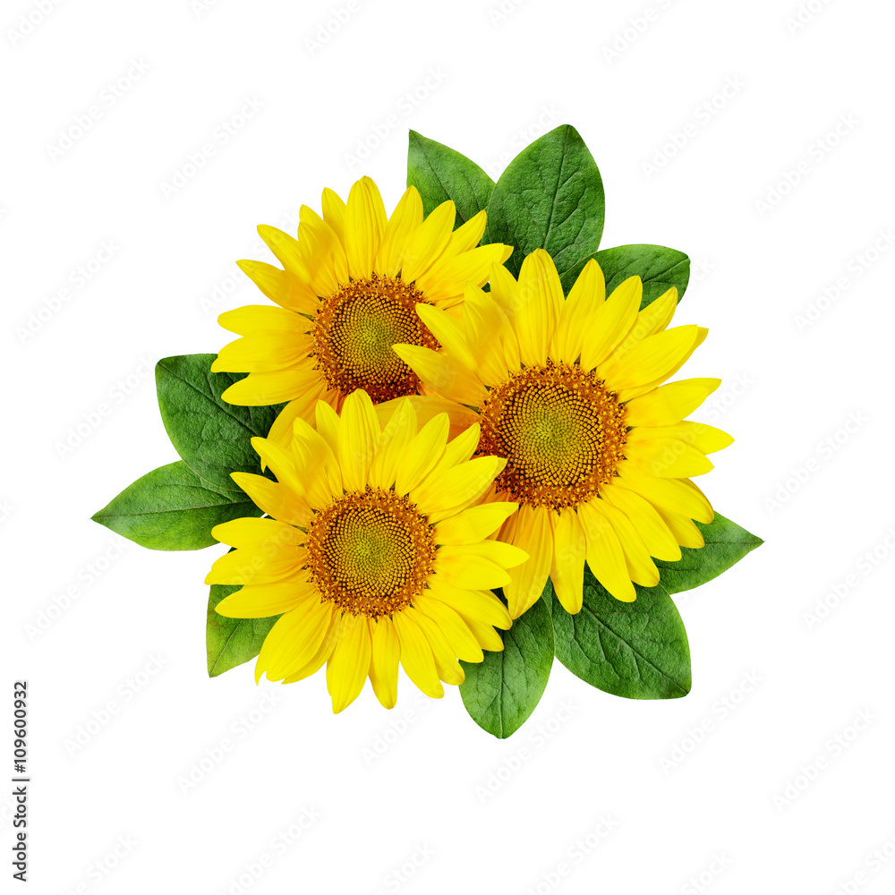 Fototapeta premium Sunflowers bouquet