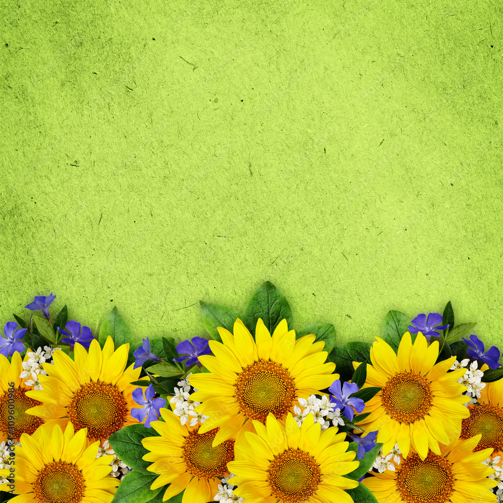 Obraz premium Sunflowers and wild flowers background