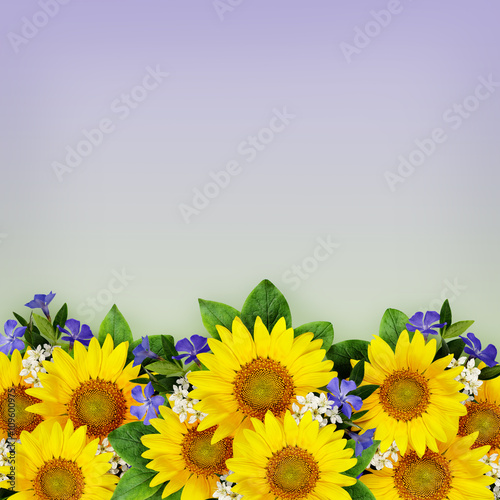 Sunflowers and wild flowers...