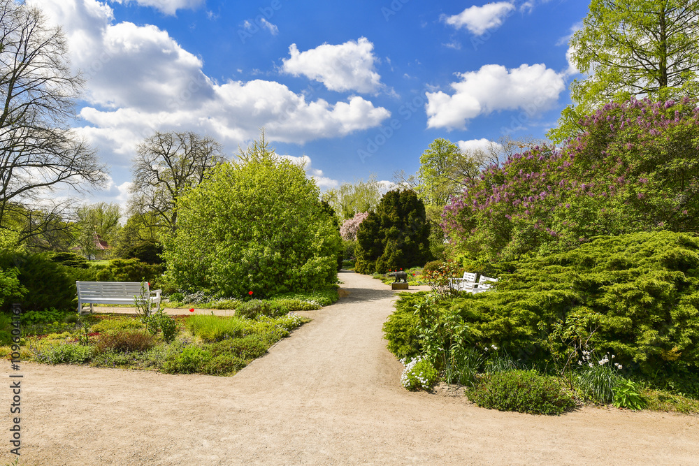 Freundschaftsinsel Potsdam im Frühling