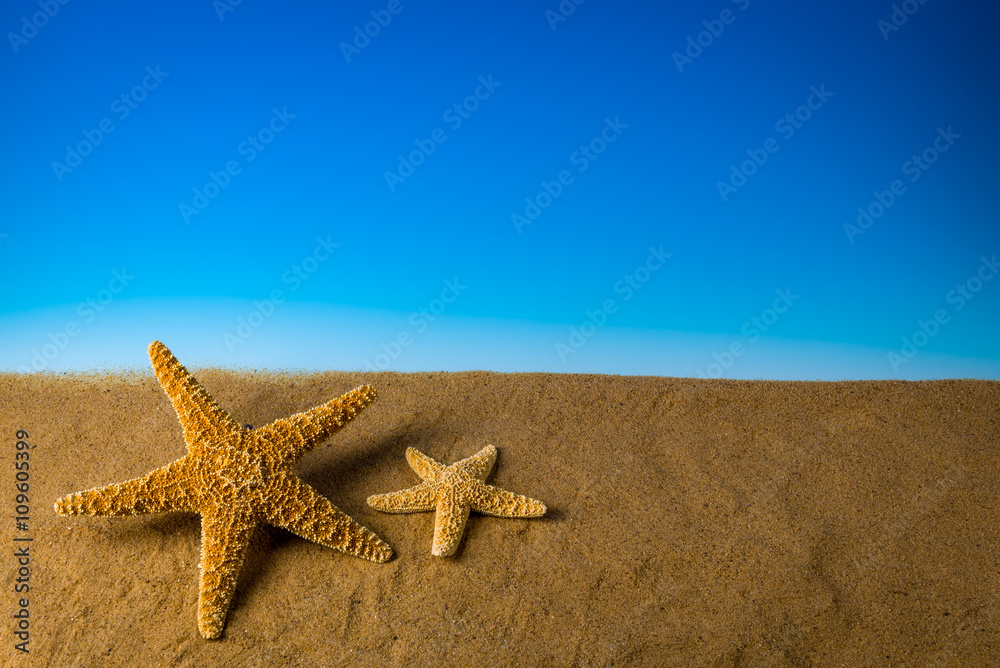 Two starfish on sand with blue background Two starfish on sand with blue background