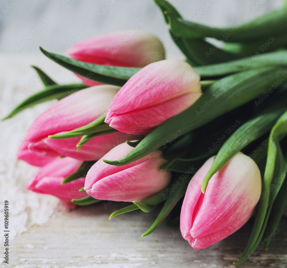 Pink Tulips close up, selective focus Pink Tulips close up, selective focus