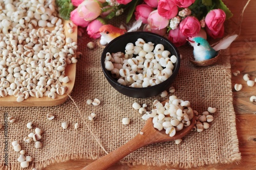 Cooked millet seeds and dried millet seeds.