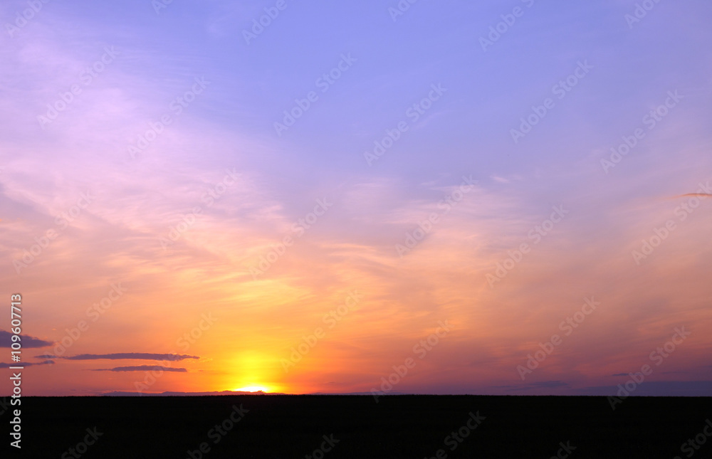 Fototapeta premium Sunset sky background. Beautiful sky. Landscape. Sunny sunset in a field.