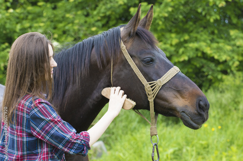 Young girl is grooming brown horse hair
