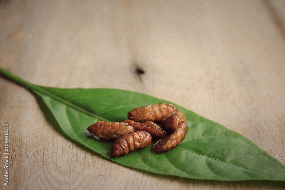 Obraz premium fried insects